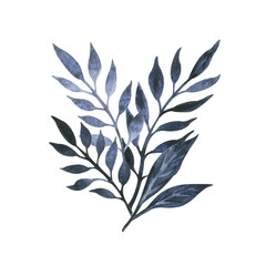 Fototapeta na wymiar Hand-drawn watercolor illustration isolated on a white background. Bouquet of large blue textured exotic zamiokulkas leaves.