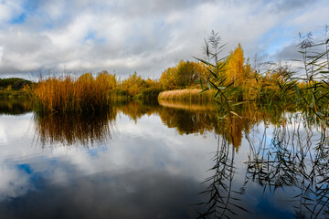 Lake in autumn. Islands with yellowed reeds and cattails. Coast trees in bright autumn colors. Clouds are reflected in the mirror water surface