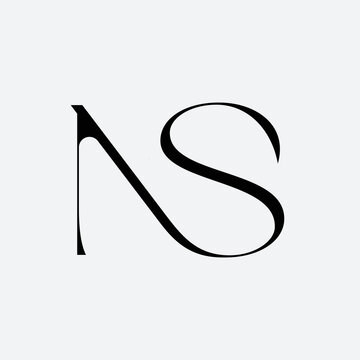 Ns Letter Logo