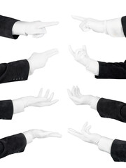 Man hands in white glove and black suit set. Holding, pointing, supporting and offering hands isolated png with transparency