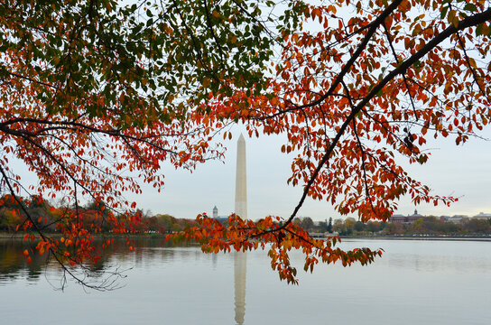 Washington Monument and autumn foliage - Washington DC United States
