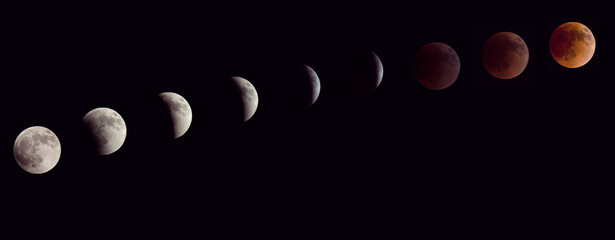 flower blood moon phases