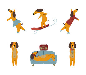 Comic Brown Dachshund Dog Engaged in Different Activity Vector Set