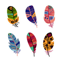 Colorful Feather and Plumage as Boho Tribal Element Vector Set