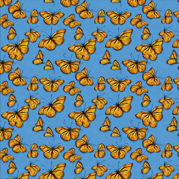 Seamless pattern Illustration butterflies