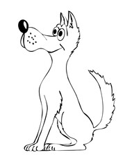 Hund