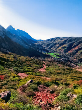 Nature at the top of the mountain