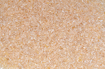 chinese raw white rice texture close up