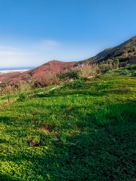 Nature land with mountain view