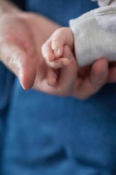 Asian Parent Hands Holding Newborn Baby Fingers, Close Up Mother's Hand Holding Their New Born Baby.