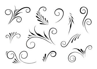 A set of decorative elements curls. Watercolor ornament on a white background. Decorative elements for the menu, diploma certificate, wedding invitation card, divider.