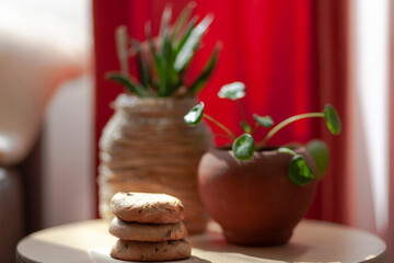 Close-up of cookies standing on coffee table