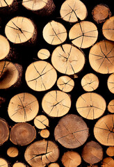 Pile wood logs for winter shortages Generative AI