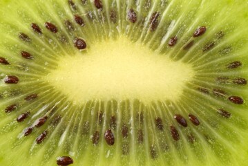 Kiwi fruit sliced macro view