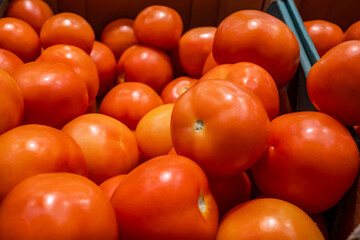 close-up tomatoes are sold in a shopping center in the department of vegetables and fruits