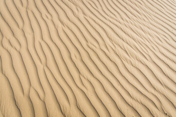 Clean pattern of fine sand in a desert