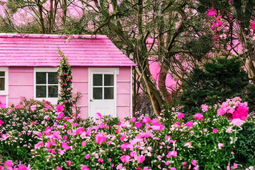 pink house in pink garden, pink flowers