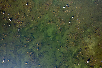 Natural patterns on Baltic Sea coastline in Estonia