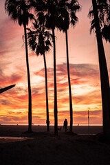 sunset at the beach