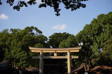 明治神宮、神社、原宿、東京、日本、建物、青空、青、雲、野外、鳥居、木、自然、夫婦、夫婦の木、カップルの木、しめ縄、縄、大きい縄、初詣、参拝、参道、神聖、神道、森、公園、信仰、観光、旅行、お参り、門、建物、日本酒、酒樽、樽、アジア、マイナスイオン、神聖、静寂、神宮、明治、meijijingu,meiji,tokyo,japan,