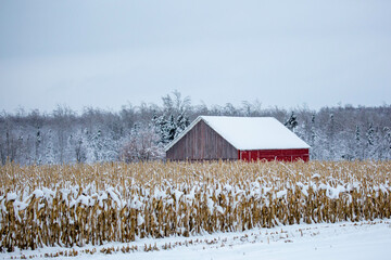 Red barn next to a cornfield after a Wisconsin snow storm in December