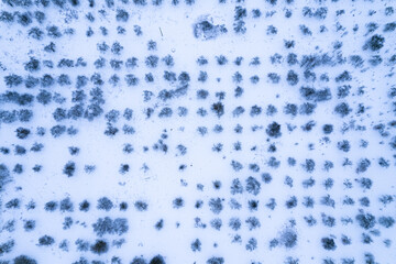 Top view of the winter panorama of the Vileysky reservoir and the village