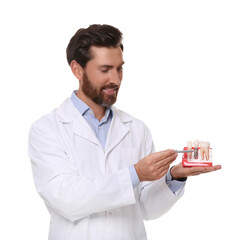 Dentist holding educational model of dental implant on white background