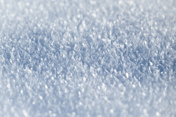 Obraz premium Frost Close Up #2