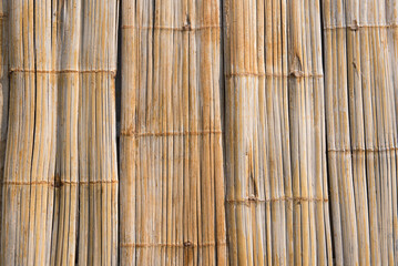 Bamboo background and texture.Bamboo fence.