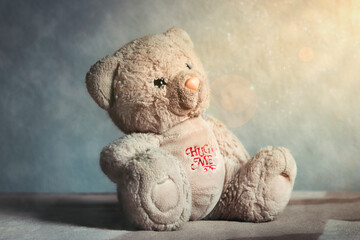 . Urso de pelúcia triste e feliz. Happy and sad teddy bear