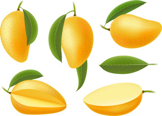 Yellow mango isolated on white