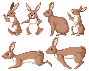 Brown rabbits in different poses set