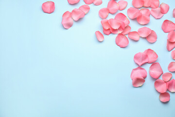 Beautiful pink rose flower petals on light blue background, flat lay. Space for text