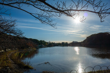 兵庫県立明石公園（明石城跡）