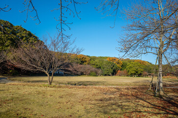 兵庫県立明石公園（明石城跡）