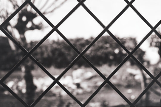 Muro Metalico