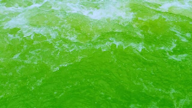 Defocus blurred transparent green colored clear calm water surface texture with splashes and bubbles. Trendy abstract nature background. Water waves in sunlight. Green water shining background.