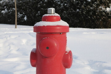 red fire hydrant in snow
