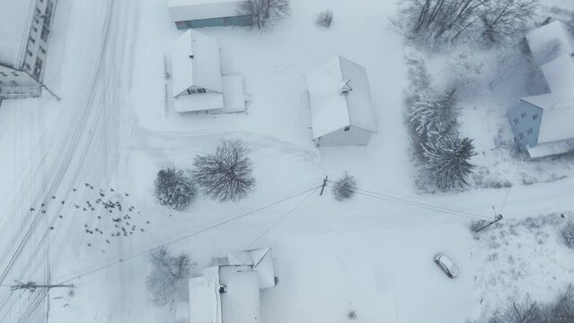 Flocks in flight over snow-covered Monson