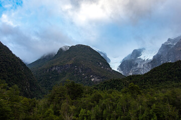 Fototapeta na wymiar Panorámica del bosque, Patagonia de Chile