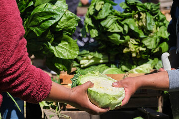 Detail of a stand of organic agroecological vegetables, two unrecognizable people passing each...