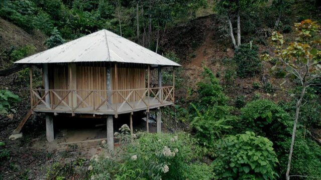 Pedestal down view of isolated wooden elevated house surrounded by Amazonian forest vegetation, Peru. Aerial drone shot