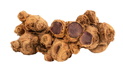 Black galingale rhizome on transparent background.