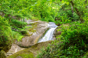 A mountain river in a natural channel with rapids and waterfalls.