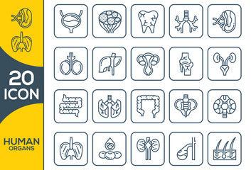 HUMAN ORGANS ICON SET DESIGN