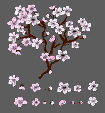 Peach flower and cherry blossom set.Sakura vector set.isolate and golden flower.Free hand Sakura flower vector set, Branch of cherry blossom for rich on red background.plum blossom illustration.