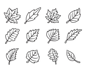 Dry autumn fall leaf doodle icon