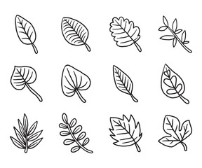 Dry autumn fall leaf doodle icon
