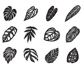 Tropical plant leaf doodle icon