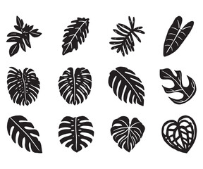 Tropical plant leaf doodle icon
